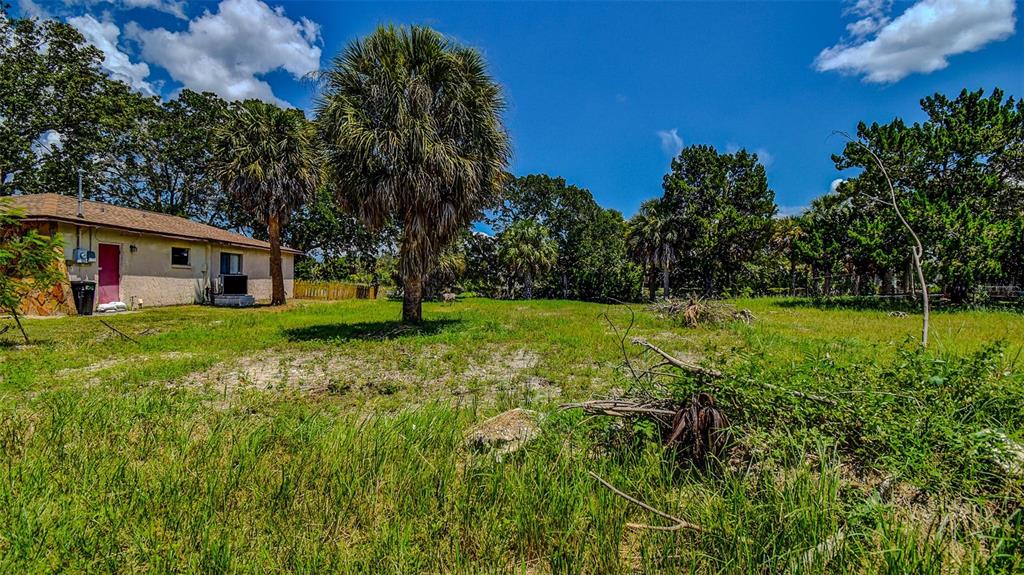 A single-story house with a tan exterior stands next to a large palm tree — 0 SEA GRAPE DRIVE Lot 10, HERNANDO BEACH, FL