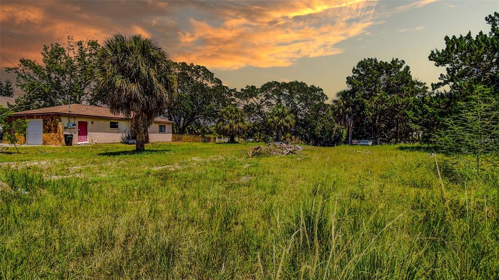 A single-story house with a garage and palm trees sits on a grassy lot — 0 SEA GRAPE DRIVE Lot 10, HERNANDO BEACH, FL