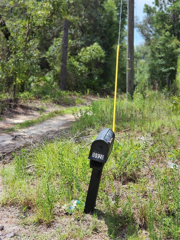 A black mailbox with the number 10920 stands beside a dirt path and utility pole — 10920 SW 105TH STREET, OCALA, FL