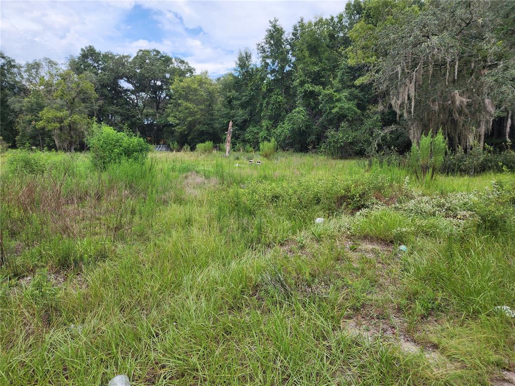 A grassy, overgrown vacant lot is bordered by a dense line of mature trees — 10920 SW 105TH STREET, OCALA, FL