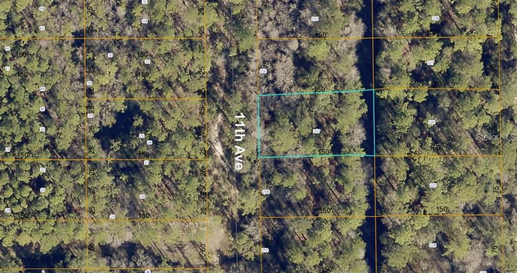 This is an aerial map showing a vacant, wooded lot highlighted in blue along 11th Ave — lot 257 11TH AVENUE, DELAND, FL