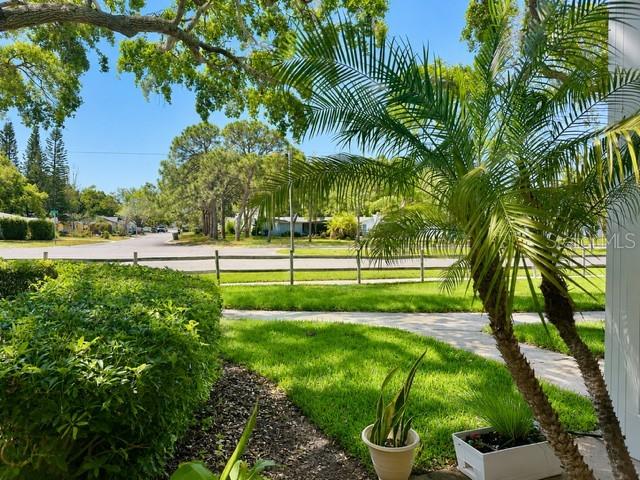 A view of a grassy yard with a palm tree and a paved street beyond — 2106 GULF VIEW BOULEVARD UNIT 2106, DUNEDIN, FL