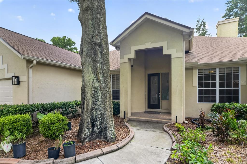 A tan stucco house features a prominent tree in the front yard and a covered entryway — 804 ROSEMIST COURT, OCOEE, FL