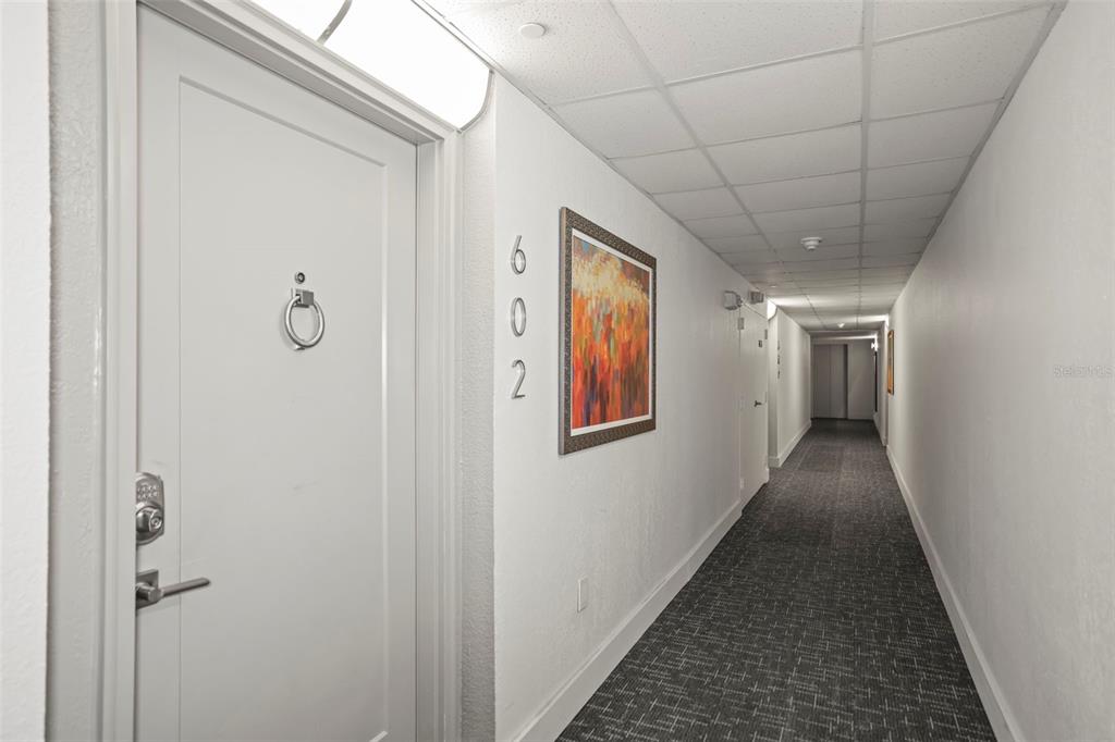 A hallway with a white door labeled 602, a framed painting, and gray carpeted flooring — 400 ISLAND WAY UNIT 602, CLEARWATER BEACH, FL