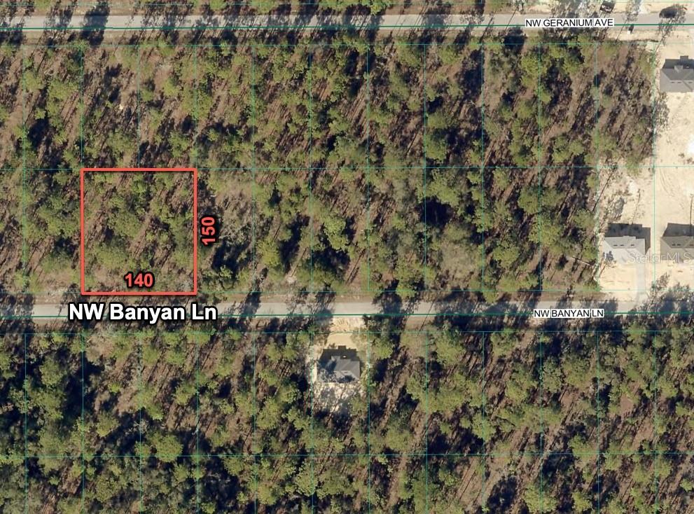An aerial map view shows a rectangular plot of land highlighted in red — 24309 NW BANYAN LANE, DUNNELLON, FL