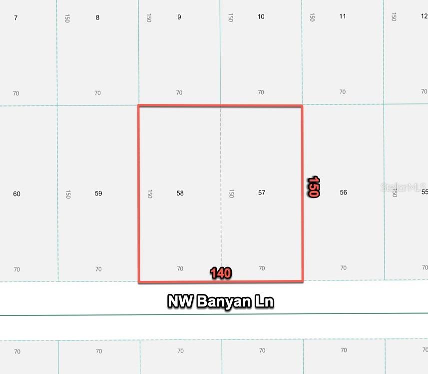 This is a map showing two adjacent land parcels along NW Banyan Lane — 24309 NW BANYAN LANE, DUNNELLON, FL