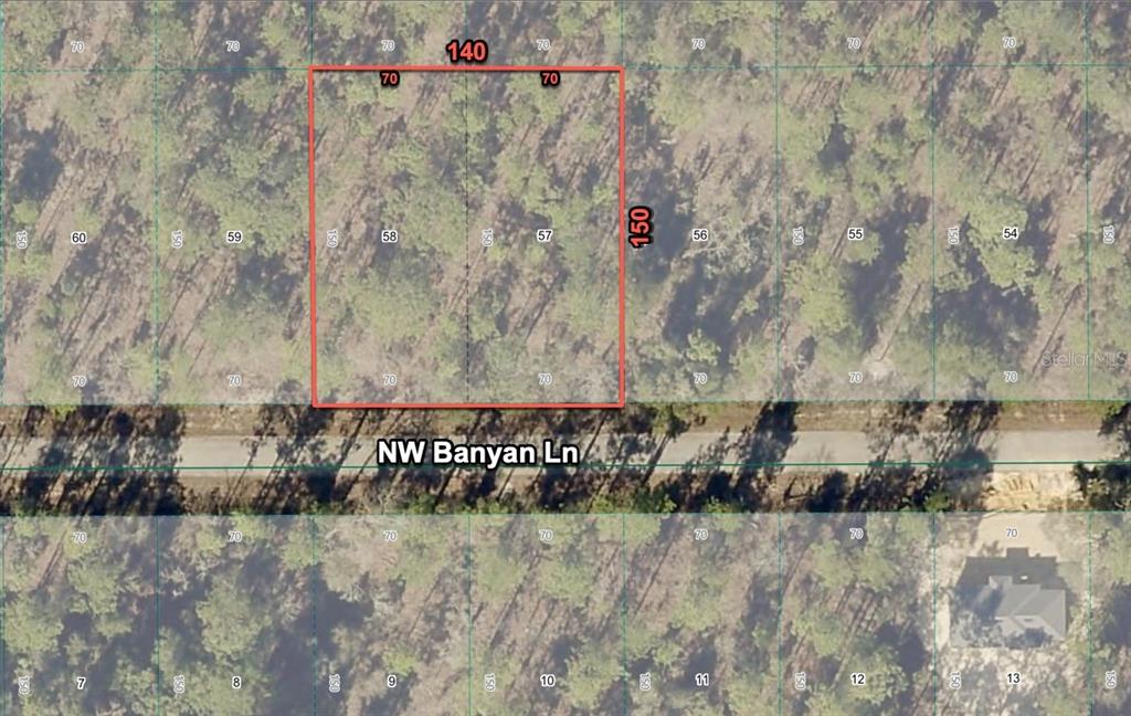 This is an aerial map showing a rectangular parcel of land highlighted in red — 24309 NW BANYAN LANE, DUNNELLON, FL