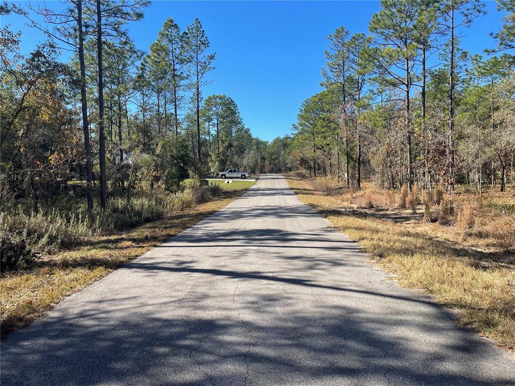 A paved road stretches through a wooded area with a parked truck in the distance — 24309 NW BANYAN LANE, DUNNELLON, FL