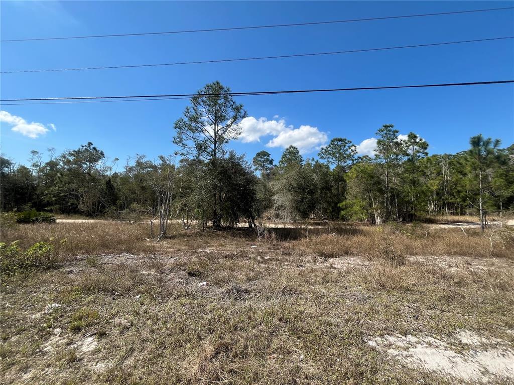 A vacant, grassy lot with scattered trees and shrubs under a clear blue sky — 494 BURRSTONE DRIVE, LEHIGH ACRES, FL