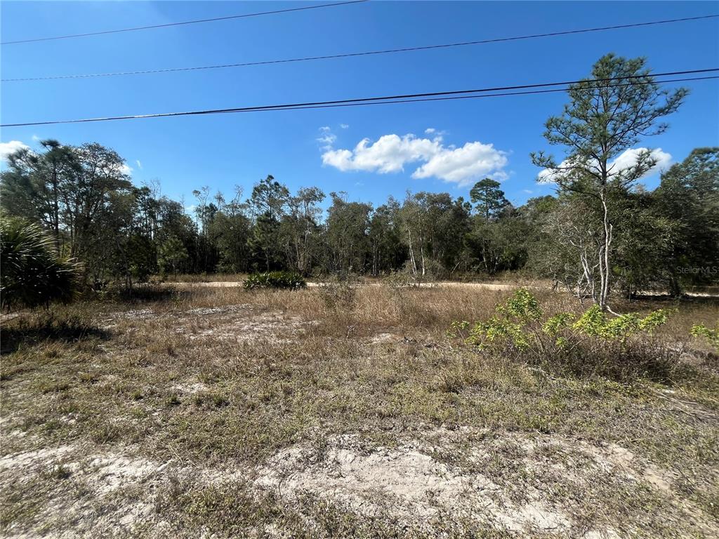 A vacant, sandy lot features dry grass and a dense line of trees under blue skies — 494 BURRSTONE DRIVE, LEHIGH ACRES, FL