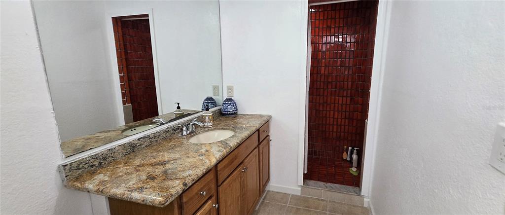 A bathroom features a granite vanity countertop, wood cabinets, a large mirror, and a tiled shower — 8814 ROCKY CREEK DRIVE, TAMPA, FL