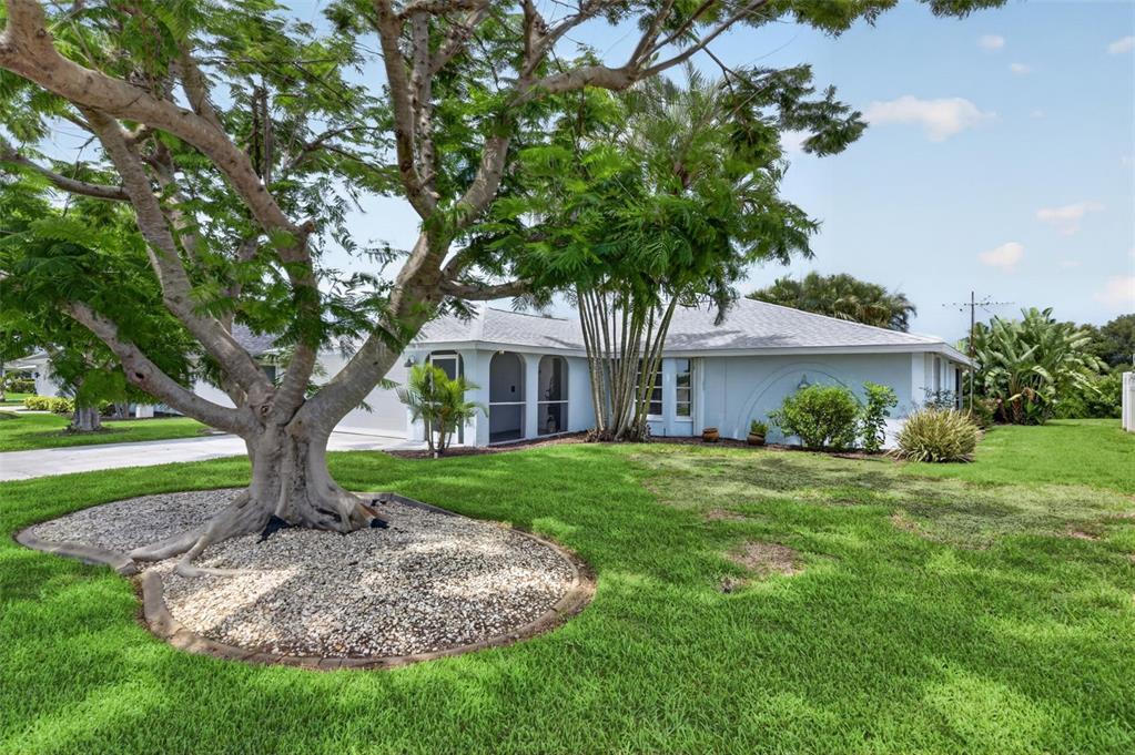 A light blue single-story house with a large tree in the front yard — 1226 PINE NEEDLE ROAD, VENICE, FL