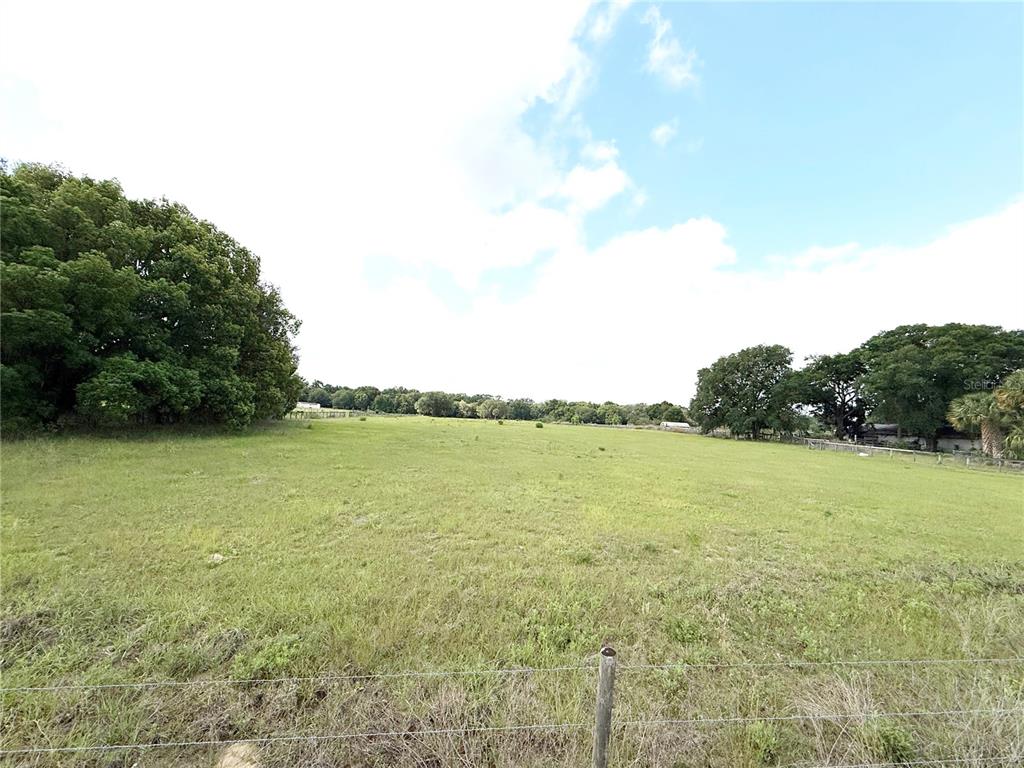 A large, grassy, fenced pasture is surrounded by trees under a blue sky — SE SUNSET HARBOR ROAD, WEIRSDALE, FL