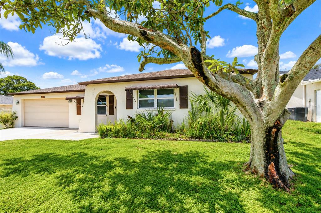 A single-story house with a beige exterior, a garage, and a large tree in front — 8811 MARTINIQUE LANE, PORT RICHEY, FL