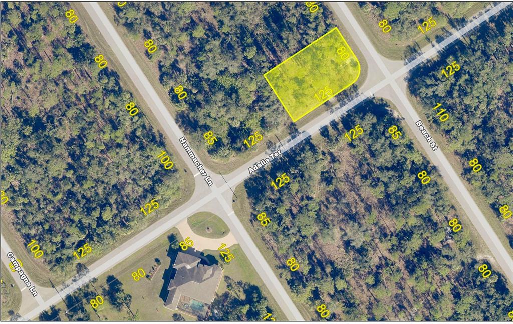 This aerial map shows a highlighted vacant residential lot at a street intersection — 1177 BEACH STREET, PORT CHARLOTTE, FL