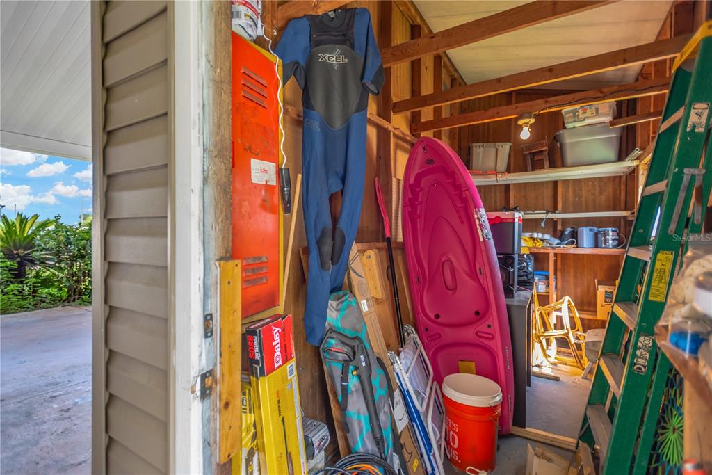A storage shed contains a pink kayak, a wetsuit, a ladder, and various household items — 34310 LODGE DRIVE, WESLEY CHAPEL, FL