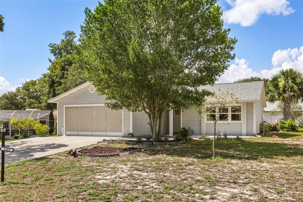 A single-story house with light gray siding, a large tree, and a concrete driveway — 1305 MORAY COURT, LEESBURG, FL