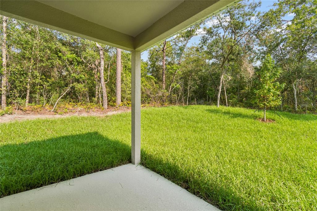 A covered concrete patio overlooks a grassy backyard bordered by a dense wooded area — 1591 DOLORES, DUNNELLON, FL