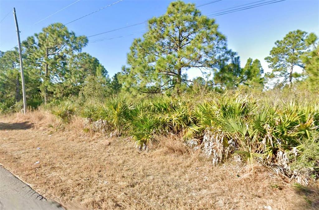 A grassy roadside area features a line of palmetto bushes and several tall pine trees — 1019 WAGNER AVENUE, LEHIGH ACRES, FL