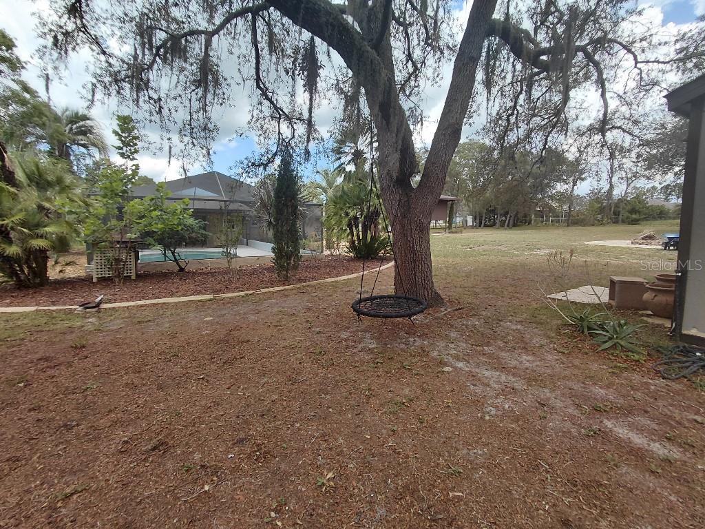 A large tree with a hanging saucer swing stands in a backyard with landscaping — 11238 KODIAK WREN ROAD, WEEKI WACHEE, FL
