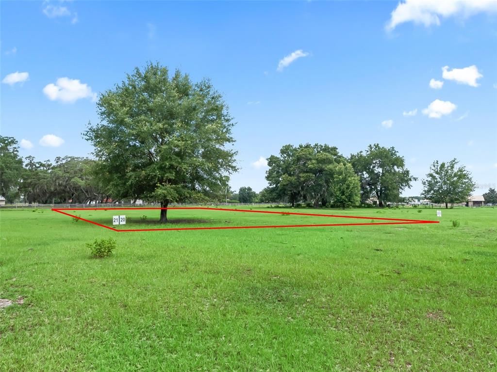 A large, grassy lot features a prominent tree and red boundary lines marking the property — Lot 20 CR 543, BUSHNELL, FL