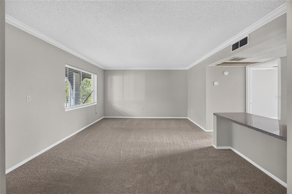 An empty living room features gray walls, beige carpet, a window, and a breakfast bar — 128 WATER FRONT WAY UNIT 360, ALTAMONTE SPRINGS, FL
