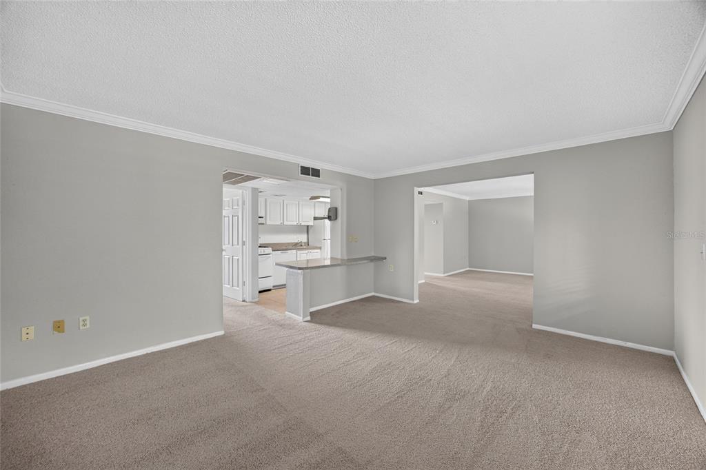 An empty living room with beige carpet, gray walls, and a pass-through to the kitchen — 128 WATER FRONT WAY UNIT 360, ALTAMONTE SPRINGS, FL