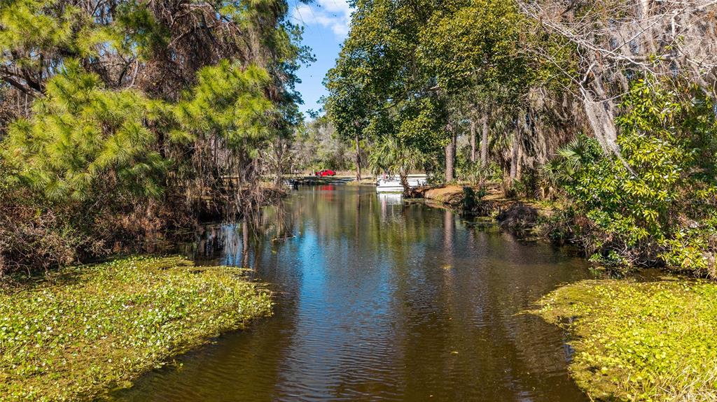 A narrow canal flows through a wooded area with patches of vegetation on the water — 22817 SW 117TH STREET, DUNNELLON, FL