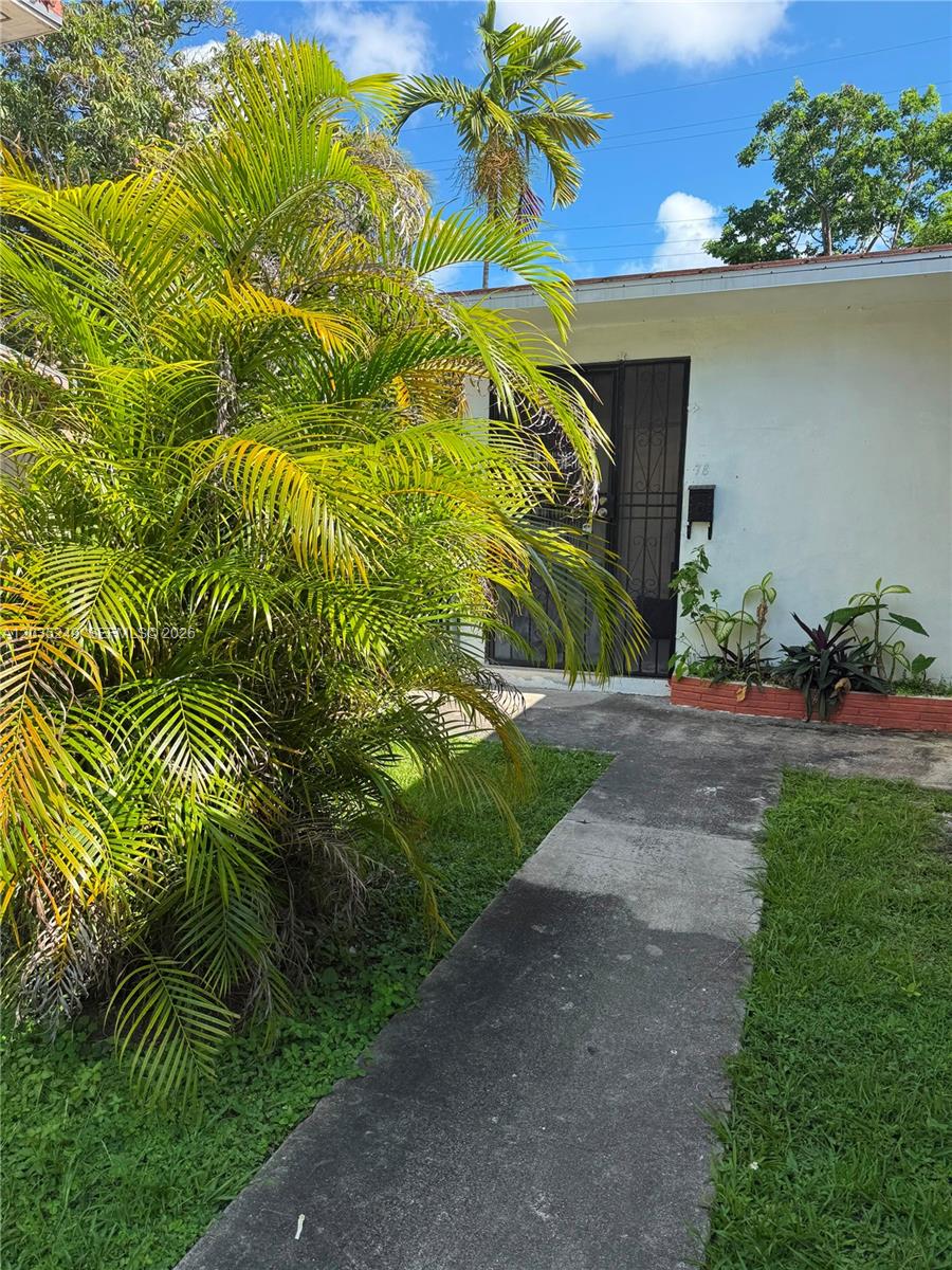 A concrete walkway leads to the front entrance of a house with a palm tree — 78 NE 43rd St # 0, Miami FL 33137, MIAMI, FL