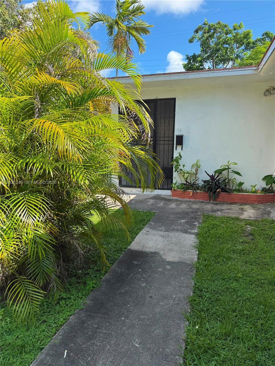 A concrete walkway leads to the front entrance of a house with a palm tree — 78 NE 43rd St # 0, Miami FL 33137, MIAMI, FL