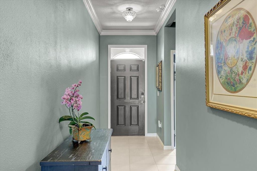 A foyer features light blue walls, a dark front door, and a wooden console table — 3921 MOSSY LIMB COURT, PALMETTO, FL