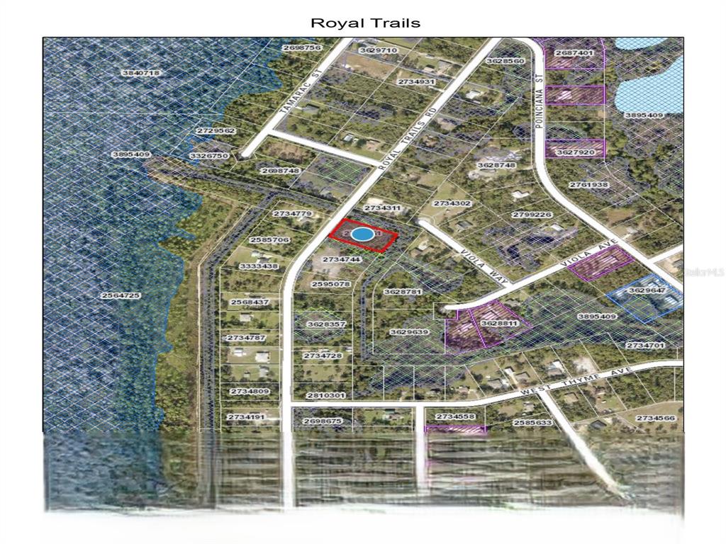 ROYAL TRAILS ROAD, EUSTIS, FL — photo 2 of 8