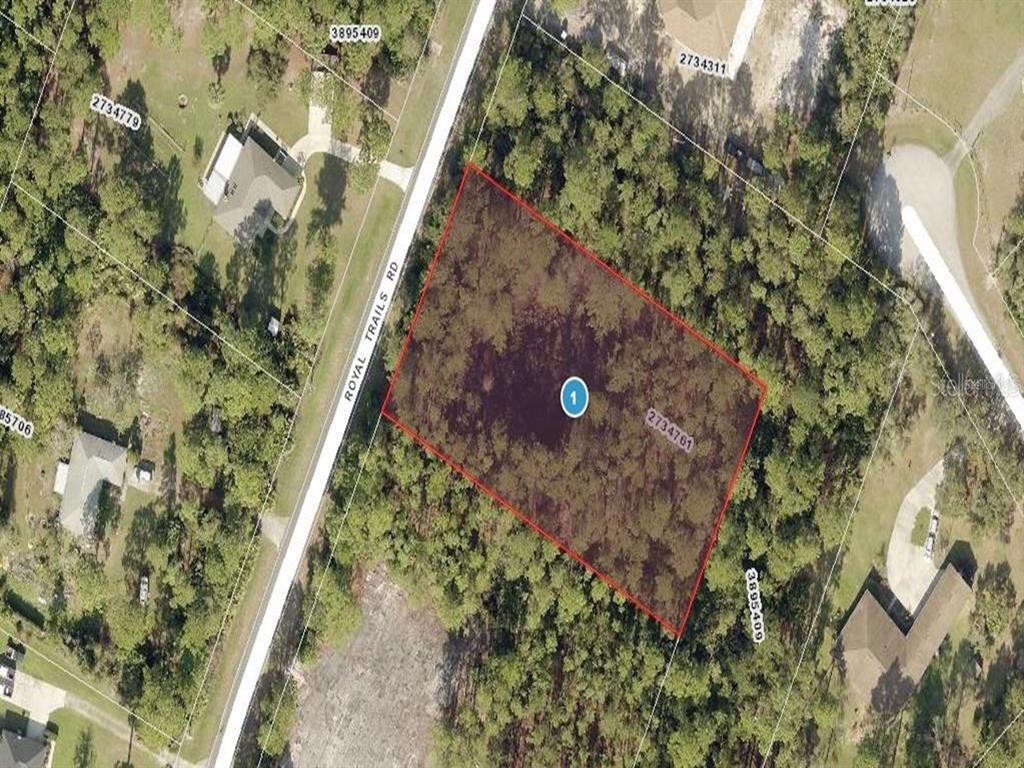 ROYAL TRAILS ROAD, EUSTIS, FL — photo 5 of 8
