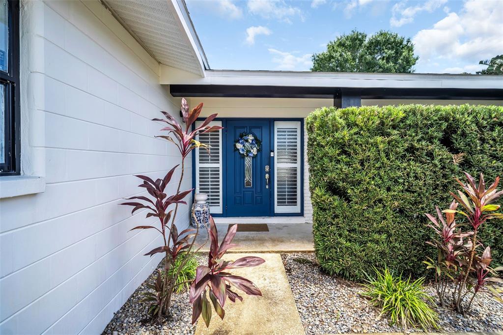 A blue front door with sidelights is framed by white siding and a large hedge — 3361 59TH STREET N, ST PETERSBURG, FL