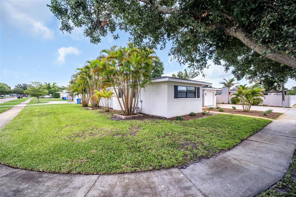 A white single-story house with a lawn, palm trees, and a concrete sidewalk — 3361 59TH STREET N, ST PETERSBURG, FL