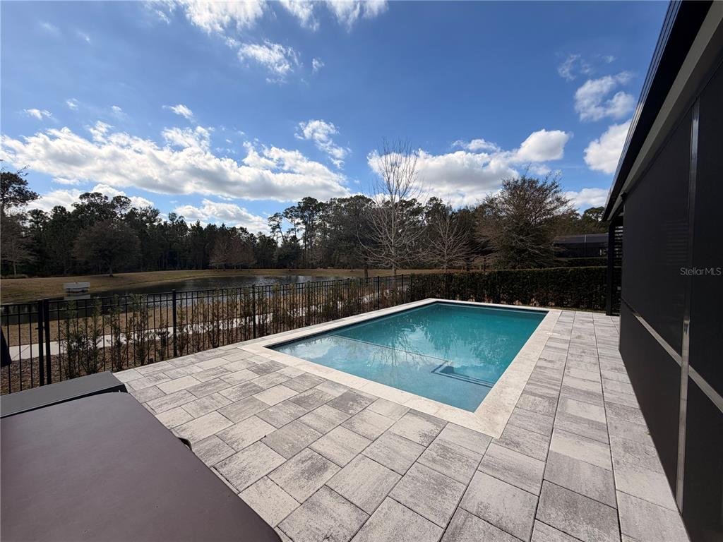 A rectangular swimming pool sits on a paved patio overlooking a pond and wooded area — 12640 SALOMON COVE DRIVE, WINDERMERE, FL