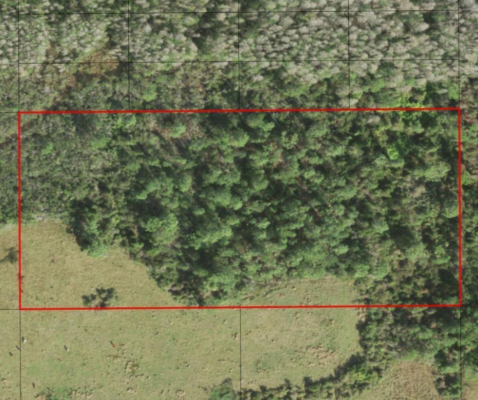 An aerial view shows a rectangular plot of land containing both forested and grassy areas — 0 Holopaw Groves Road, FL 34772, FL
