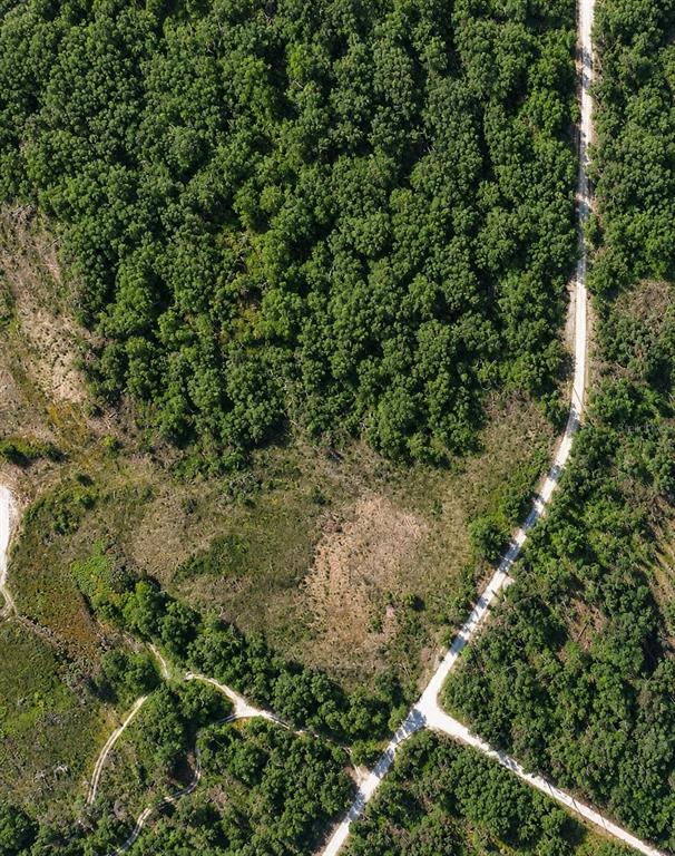 An aerial view shows a dirt road winding through a wooded area with cleared land — CORAL ROCK DRIVE, WEBSTER, FL