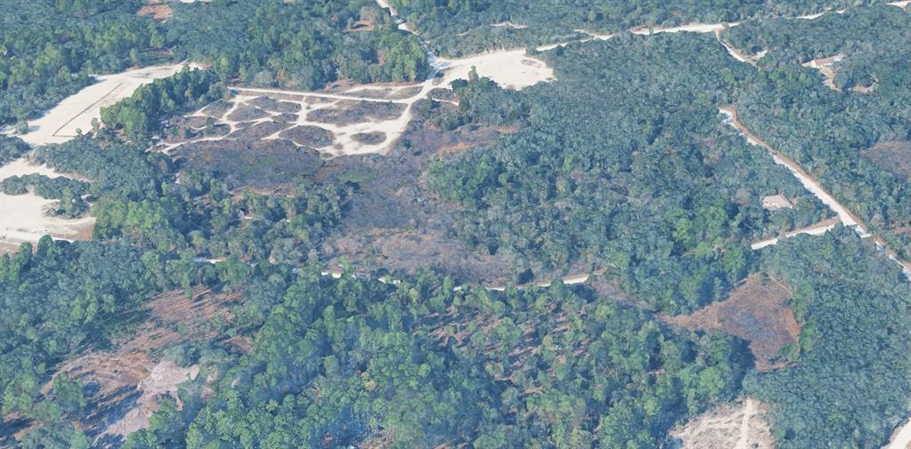 An aerial view shows a large, wooded plot of land with dirt paths and clearings — CORAL ROCK DRIVE, WEBSTER, FL