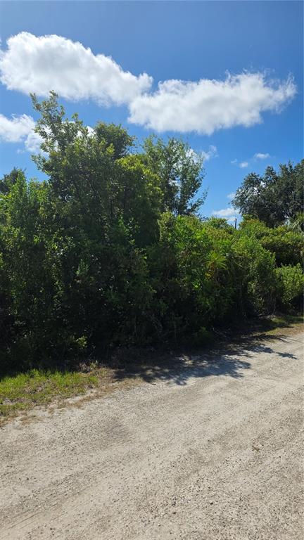 A dirt road runs alongside a dense thicket of green trees and shrubs — 2094 MIDDLE TERRACE, PUNTA GORDA, FL