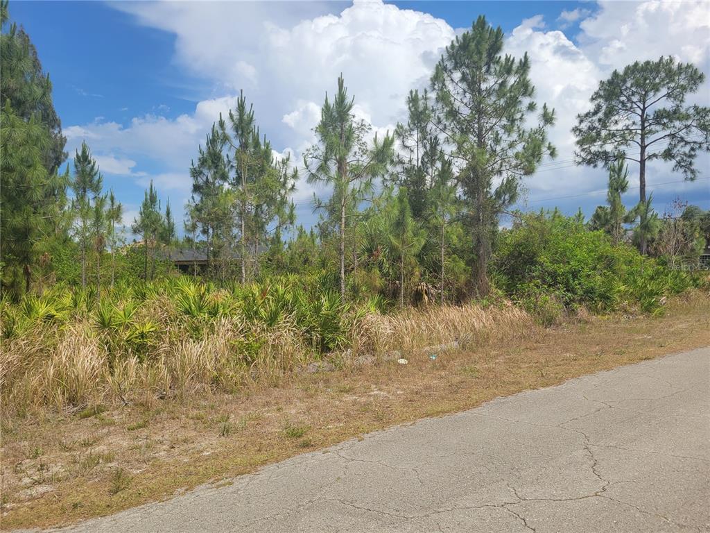 A vacant, wooded lot with tall pine trees and low-lying brush borders a paved road — 2601 E 10TH STREET, LEHIGH ACRES, FL