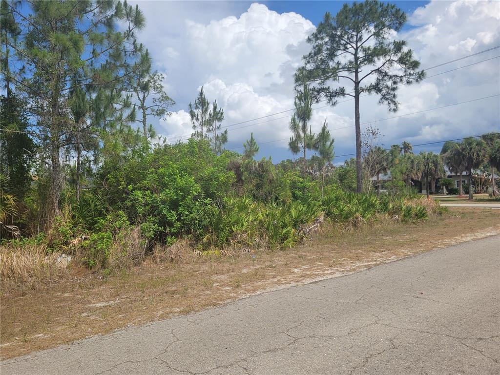 A vacant, wooded residential lot sits adjacent to a paved road under a cloudy sky — 2601 E 10TH STREET, LEHIGH ACRES, FL