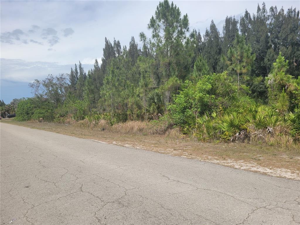 A paved road runs alongside a wooded lot with pine trees and low-lying vegetation — 2601 E 10TH STREET, LEHIGH ACRES, FL
