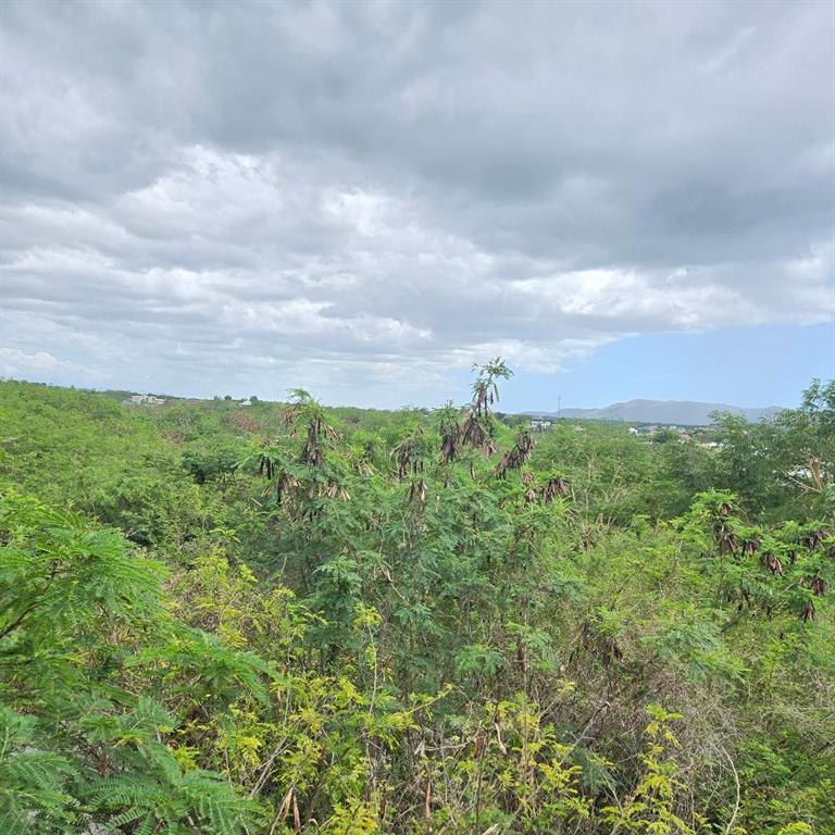 A view of a lush, green landscape with dense vegetation under a cloudy sky — 307 PEDERNALES WARD, CABO ROJO, PR