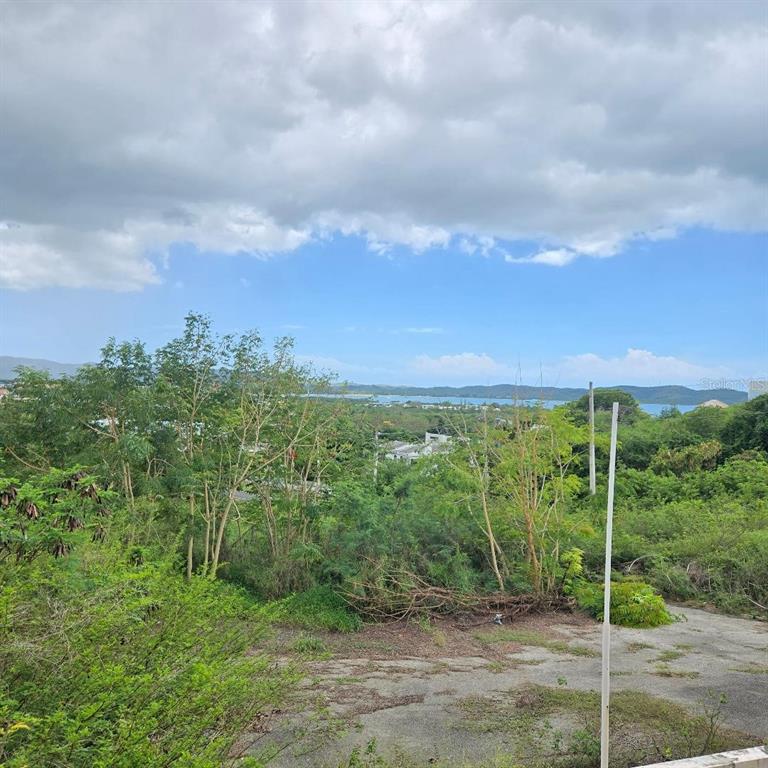 An elevated view of a coastal landscape featuring dense green vegetation and a paved area — 307 PEDERNALES WARD, CABO ROJO, PR