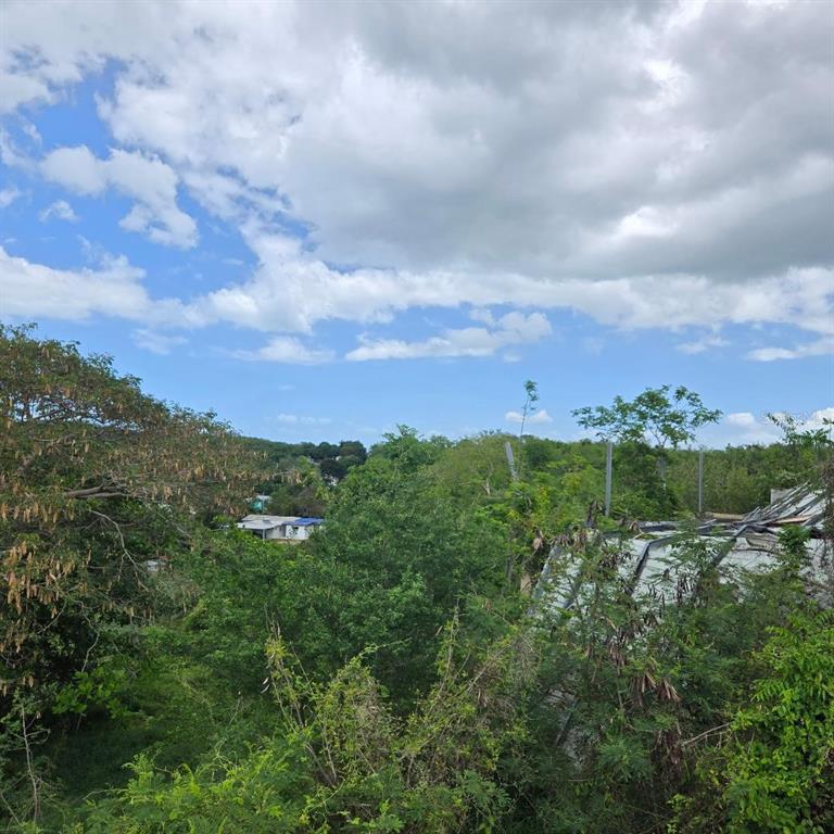 An overgrown lot with dense trees and a partially collapsed structure under a cloudy sky — 307 PEDERNALES WARD, CABO ROJO, PR