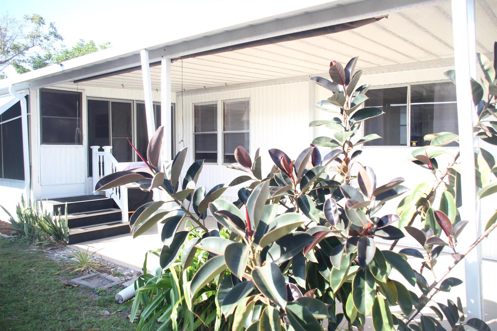 A white mobile home exterior features a covered patio, dark steps, and a large rubber plant — 58009 Bahama Bay, Boynton Beach FL 33436, BOYNTON BEACH, FL