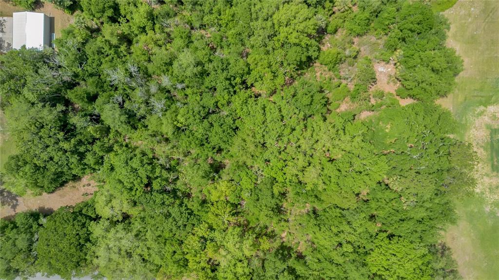 An aerial view shows a dense, wooded lot next to a small white building — 1903 SPRUCE CREEK CIRCLE, PORT ORANGE, FL