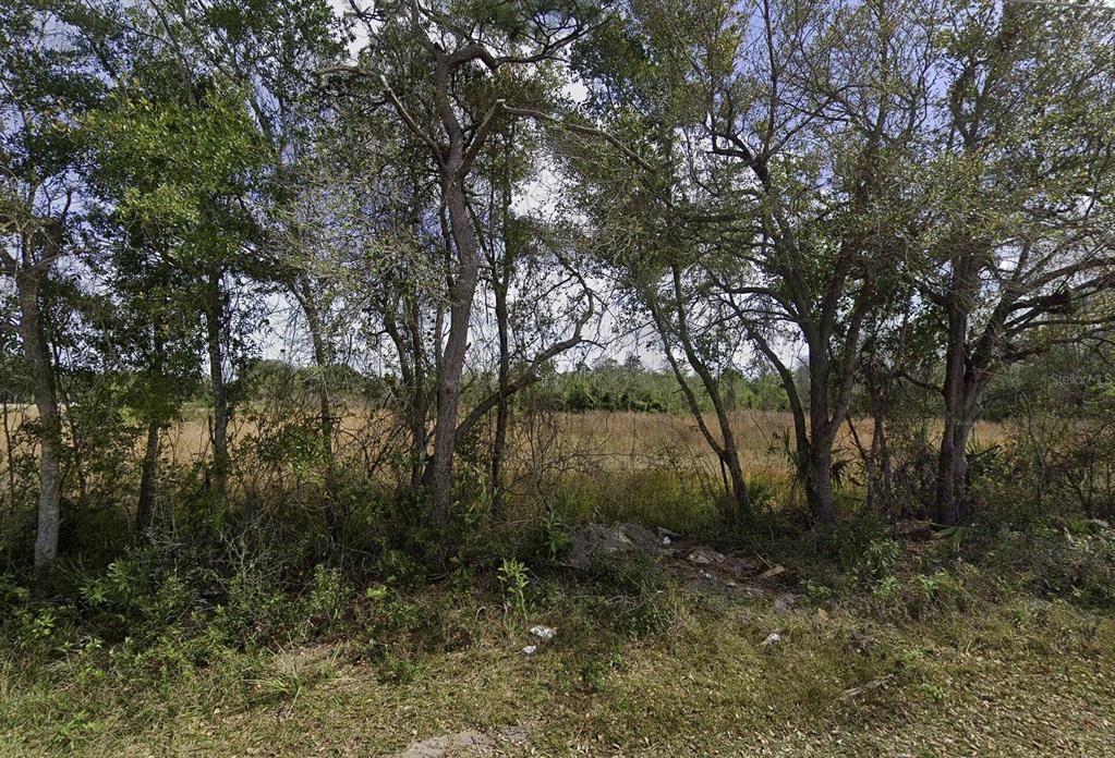 0 DELAWARE AVENUE, ST CLOUD, FL — photo 2 of 3