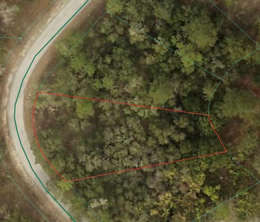 An aerial view shows a wooded plot of land outlined in red next to a road — 0 SW SHOREWOOD DRIVE, DUNNELLON, FL